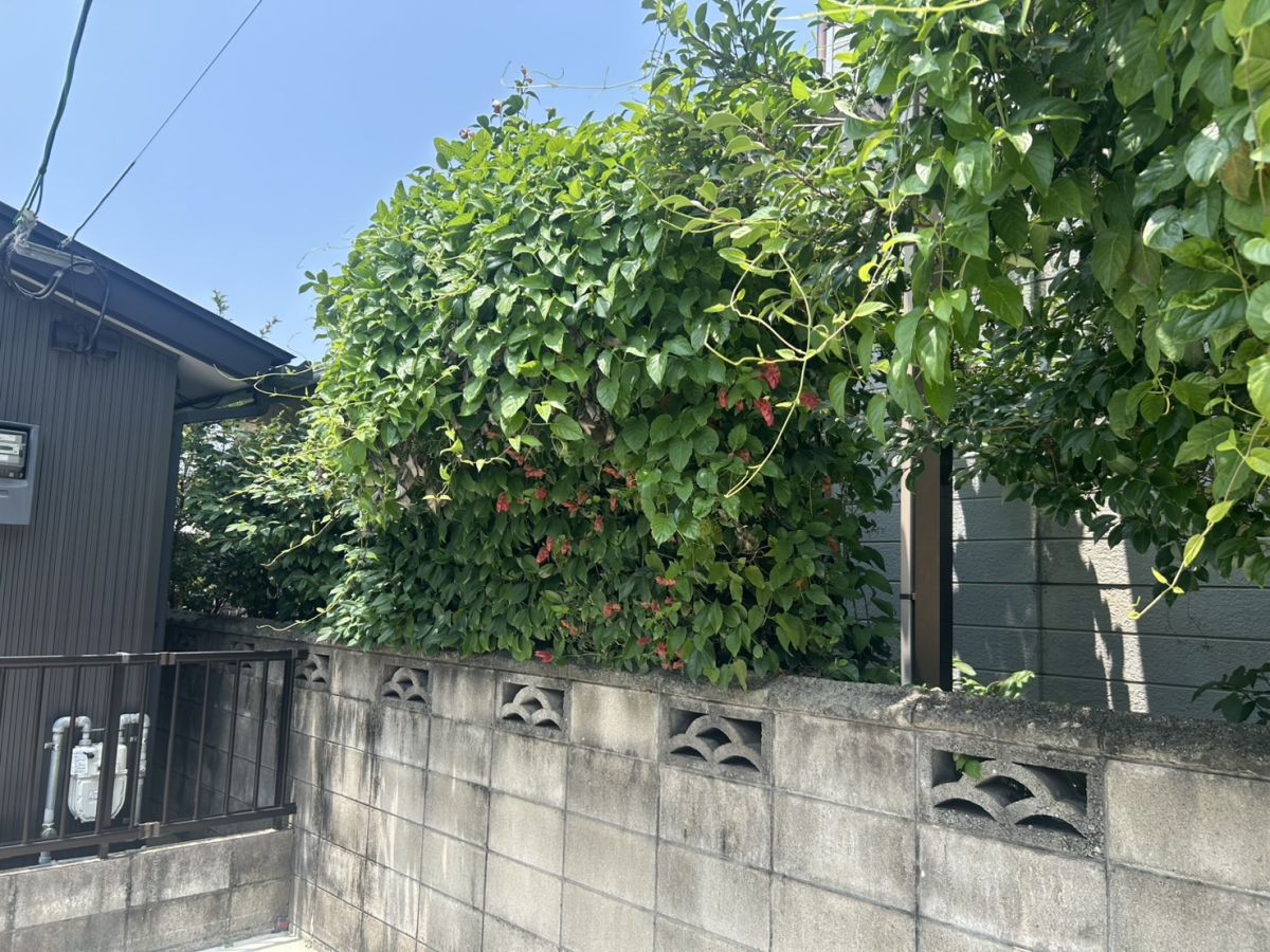 施工写真